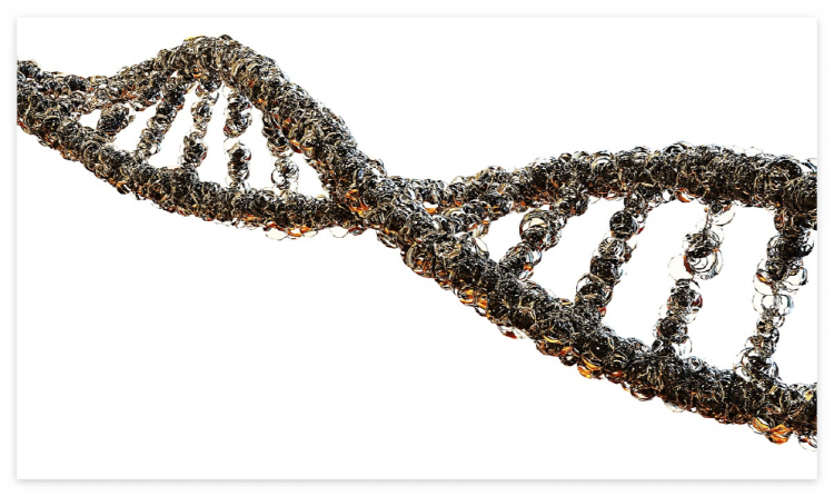 경계성 성격장애