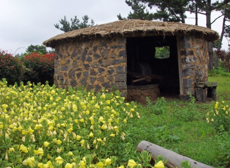 제주도여행 추천 서귀포시 여행코스 - 감귤박물관, 물영아리오름, 따라비오름, 어멍아방잔치마을, 혼인지