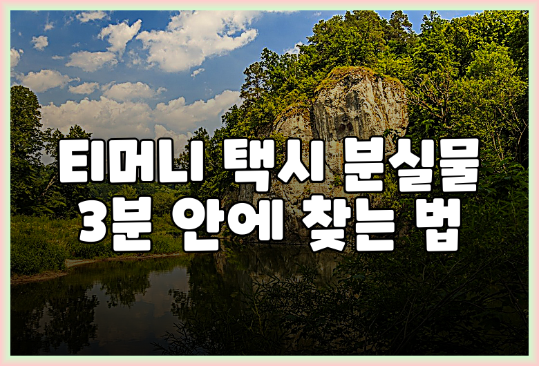 티머니 택시 분실물 3분 안에 찾는 법