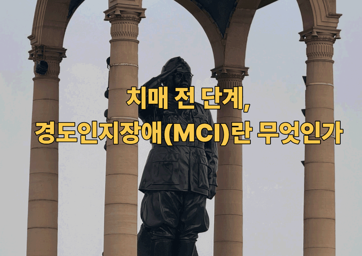 치매 전 단계, 경도인지장애(MCI)란 무엇인가 - 아직 괜찮다고 넘기기엔 너무 중요한 신호