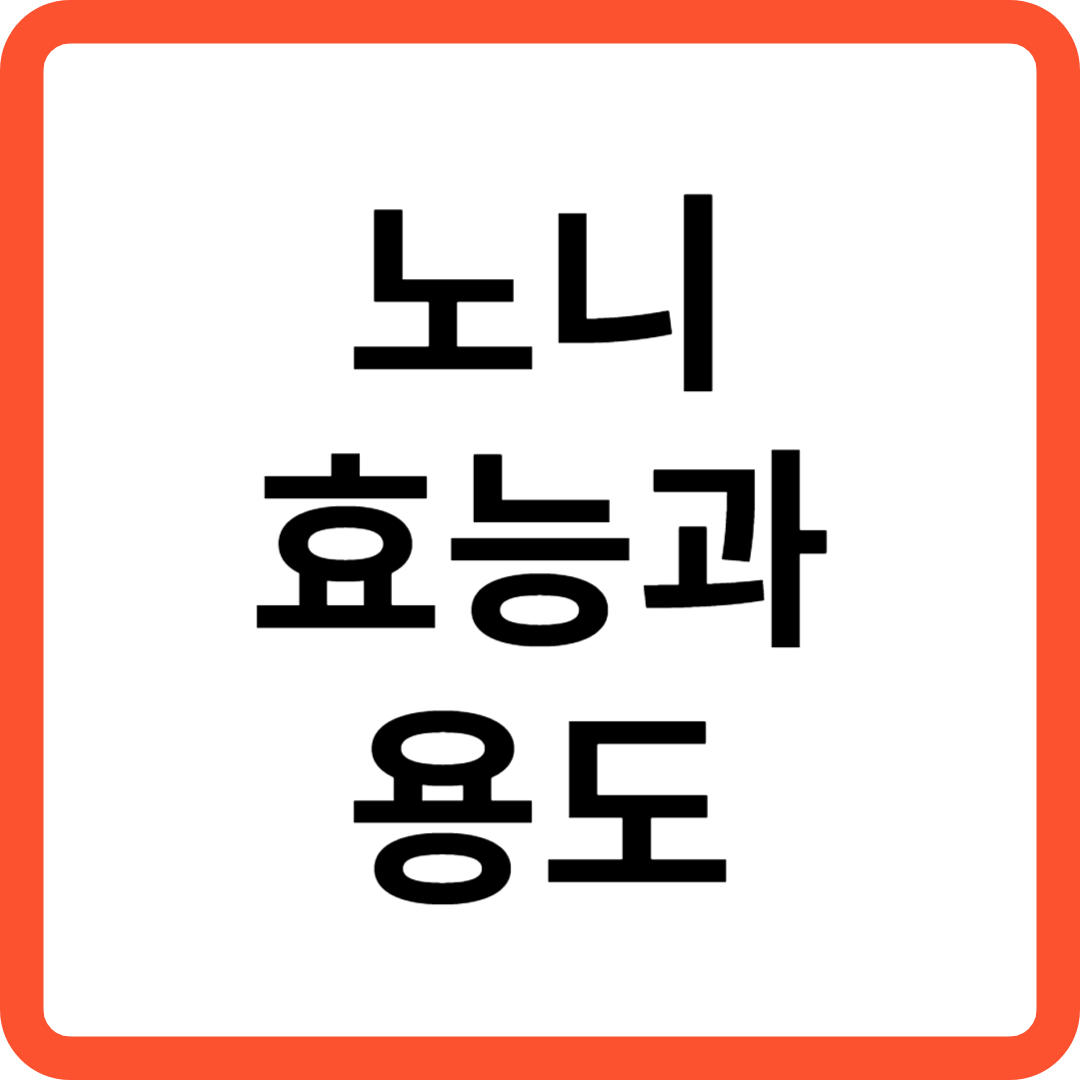 노니 효능과 용도