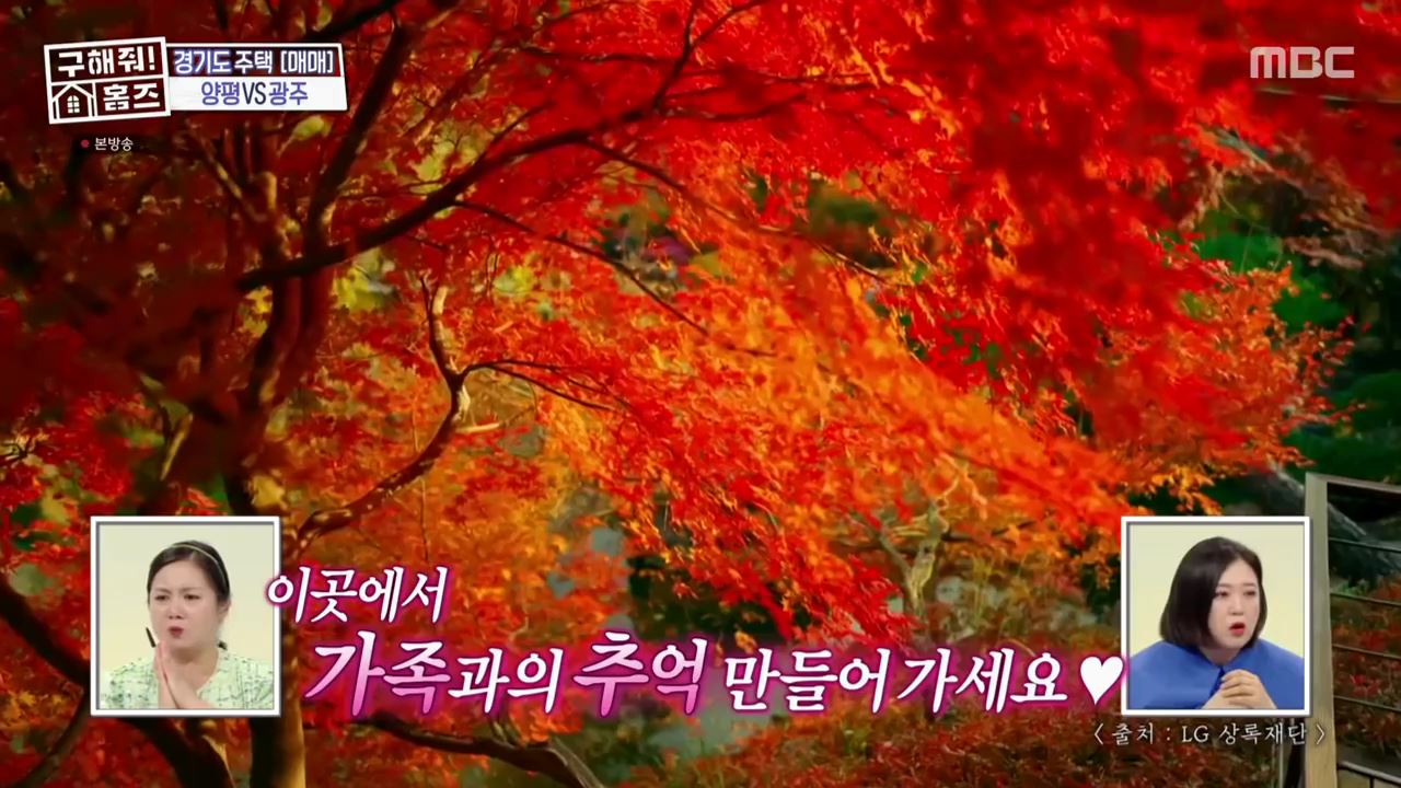 구해줘홈즈 광주시 도척면 궁평리 뜻밖의 주택 하우스 매물 가격 및 구조 인테리어 리모델링 소개