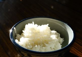 쌀벌레 없애는 법 예방법