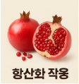 석류 효능