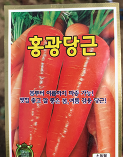 홍광당근
