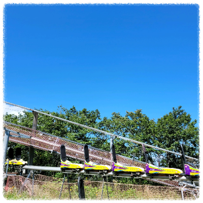 하이원 알파인코스터