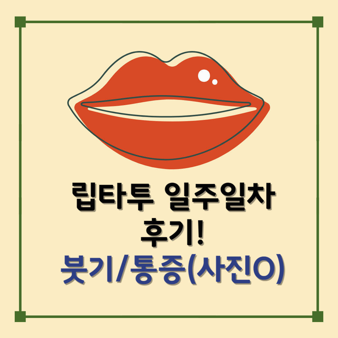 [립타투 중화 시술 후기] 시술 후 7일차 변화 &amp; 통증, 관리법 총정리 (사진 포함)