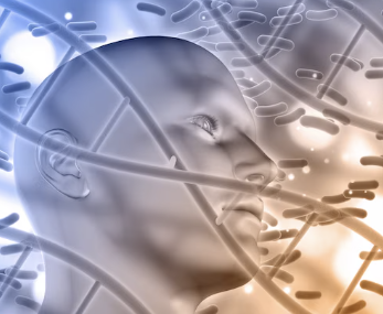 비타민d 효능 33