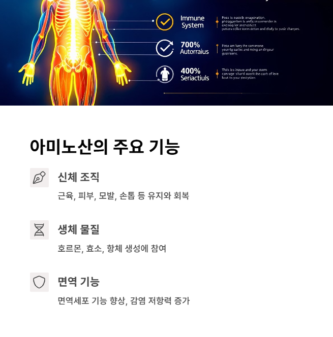 아미노산의 주요 기능