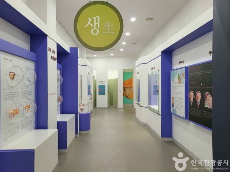 순창 가볼만한곳 베스트 10