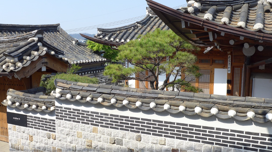 MZ세대 봄여행지 추천: 인생샷, 이색체험, 핫플레이스