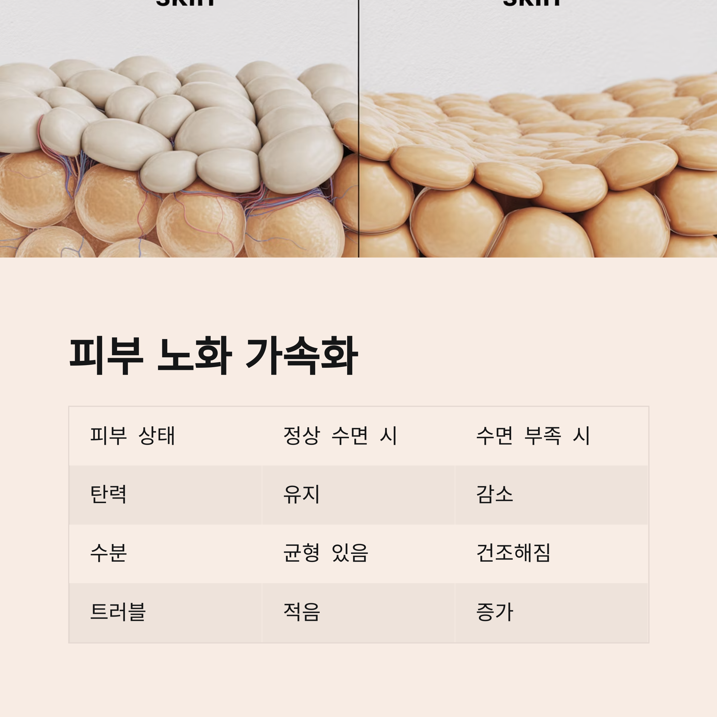 피부 노화 및 외모 변화 관련 사진