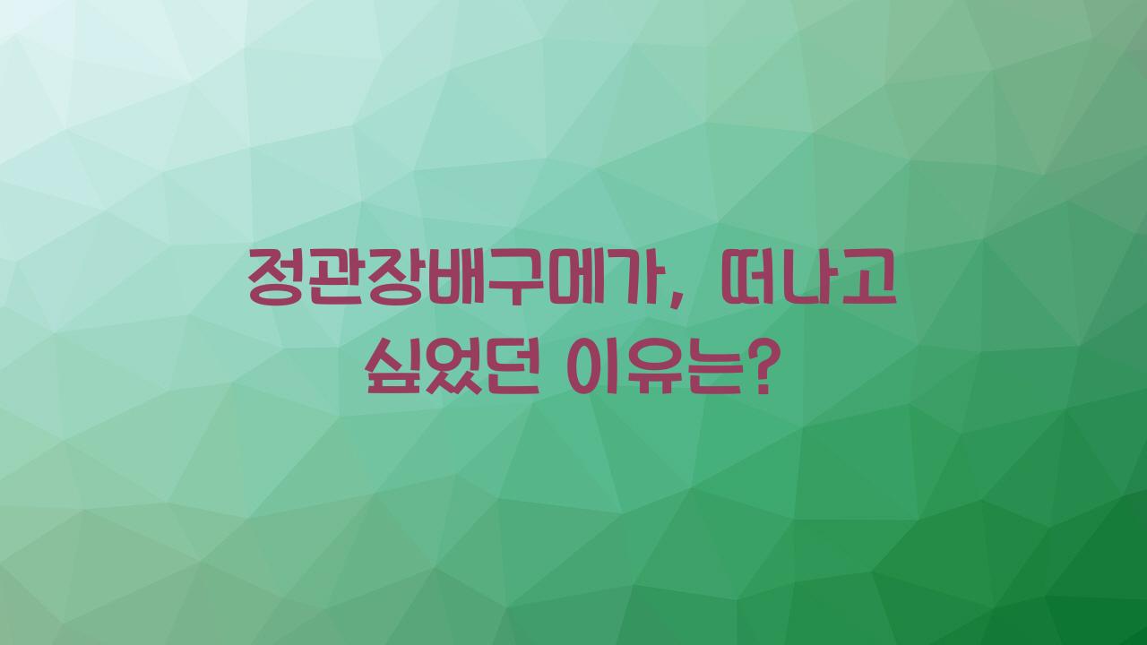 정관장배구메가