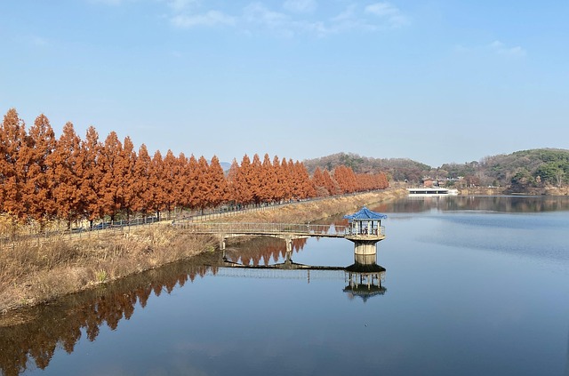 6월에 나들이하기 좋은 수도권 야외코스 : 공원&amp;#44; 호수&amp;#44; 걷기
