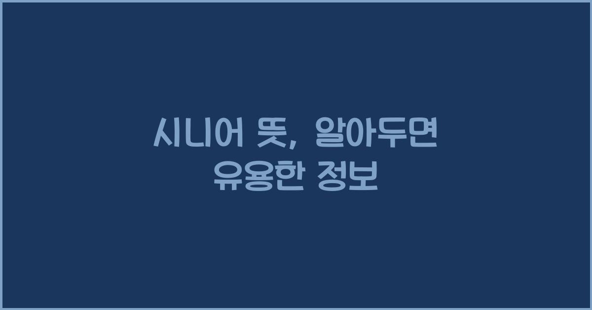 시니어 뜻