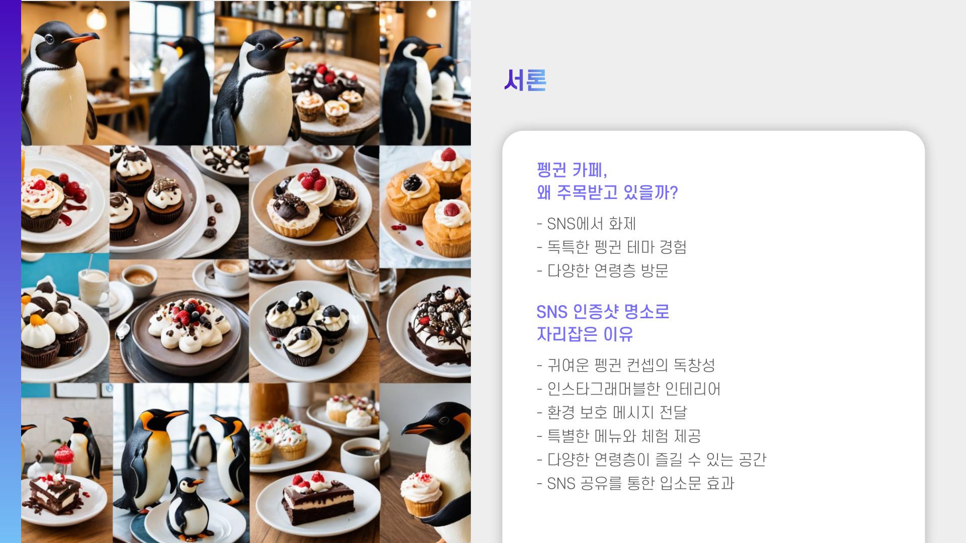 펭귄 카페 오픈 SNS 인증샷 열풍