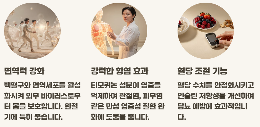 블랙커민시드 오일 효능 캡슐 먹는법