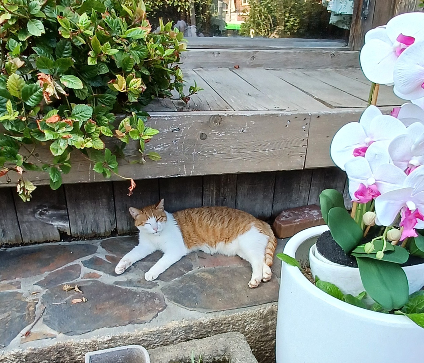 한정식-맛집-국화정원-12