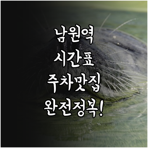 남원역 열차 시간표 및 예매 방법 주..