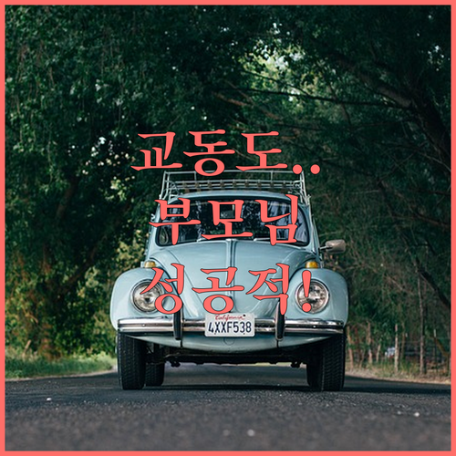 인천 교동도 대룡시장 부모님 효도 여..