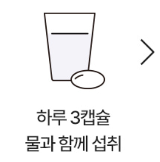 푸응 팻버닝 먹는방법