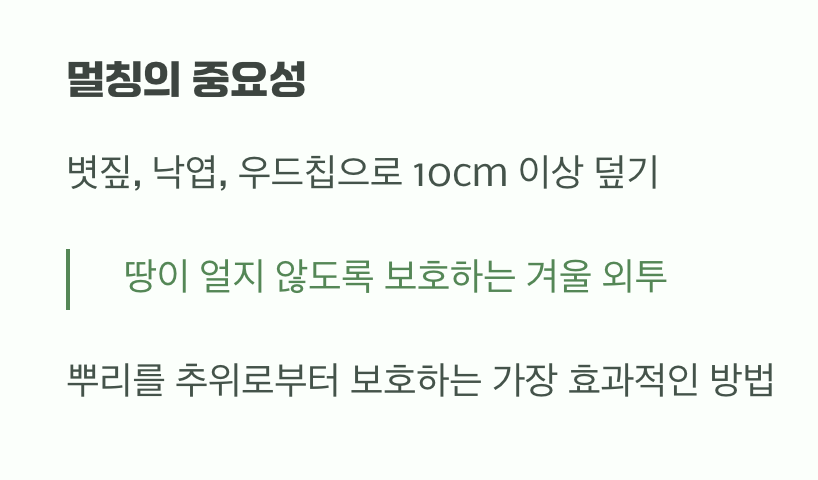첫겨울, 따뜻한 옷을 입혀주세요