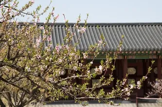 경복궁 야간개장 인터넷 예매-할인정보