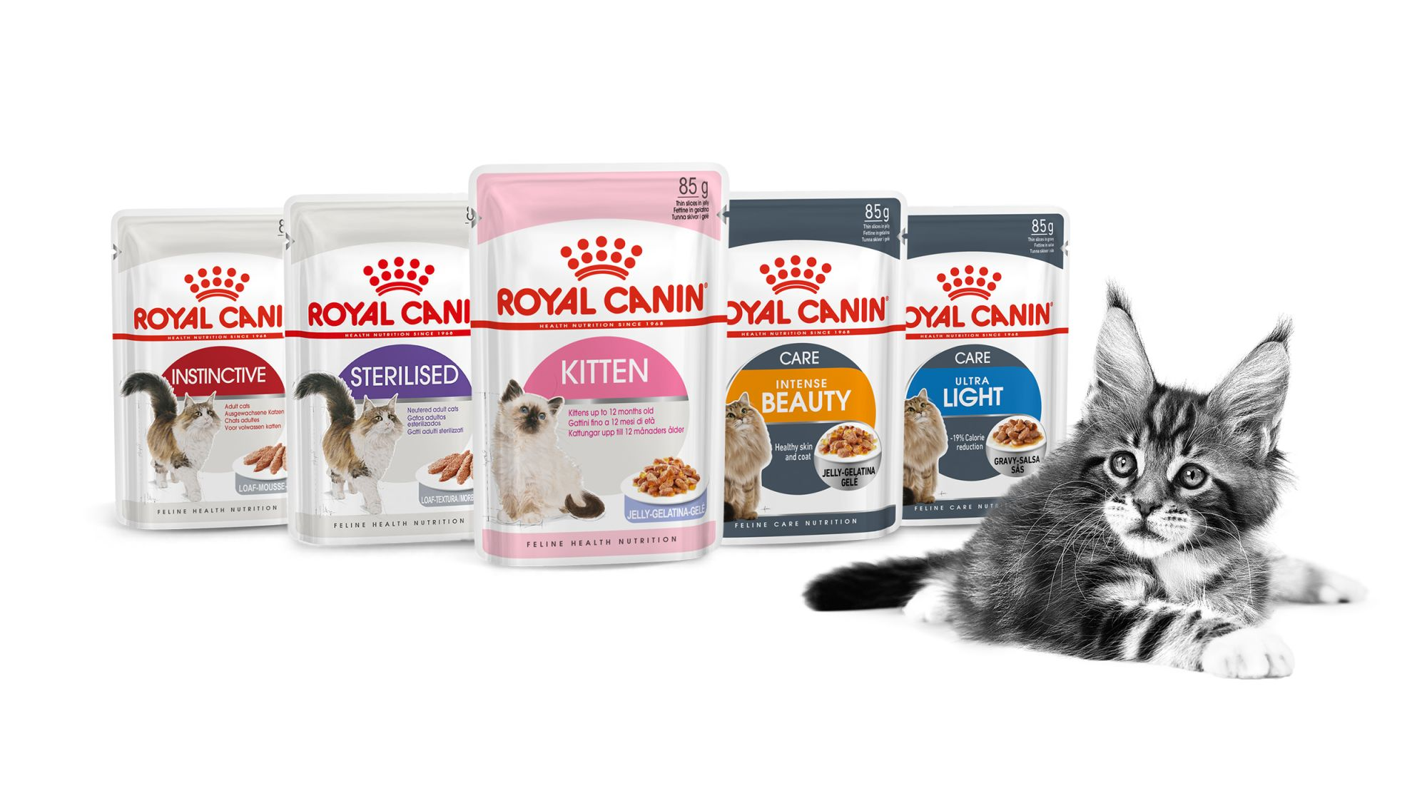 고양이 대표 습식사료 종류