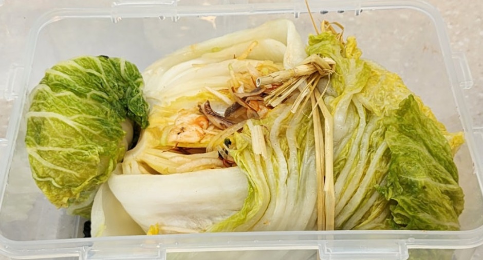 반지김치