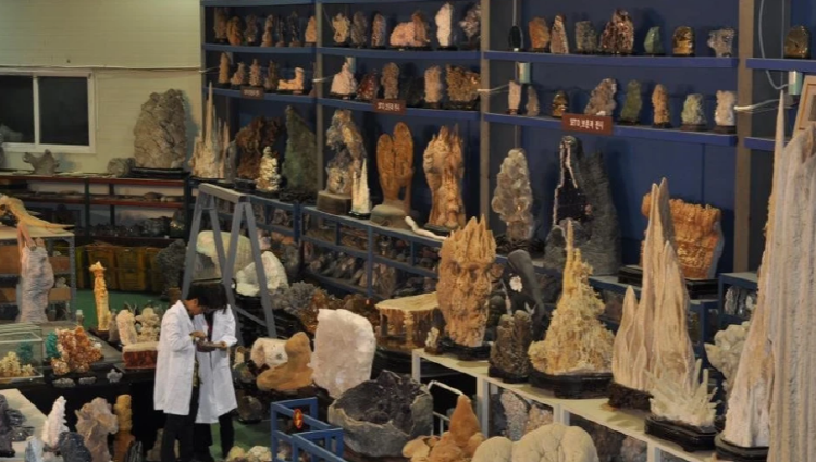 우석헌 자연사 박물관