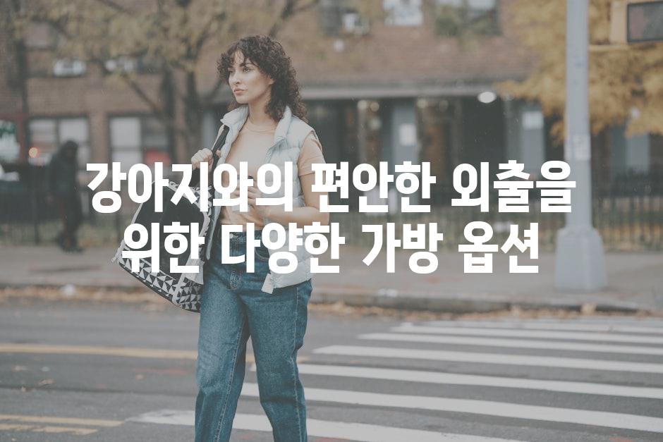 강아지와의 편안한 외출을 위한 다양한 가방 옵션