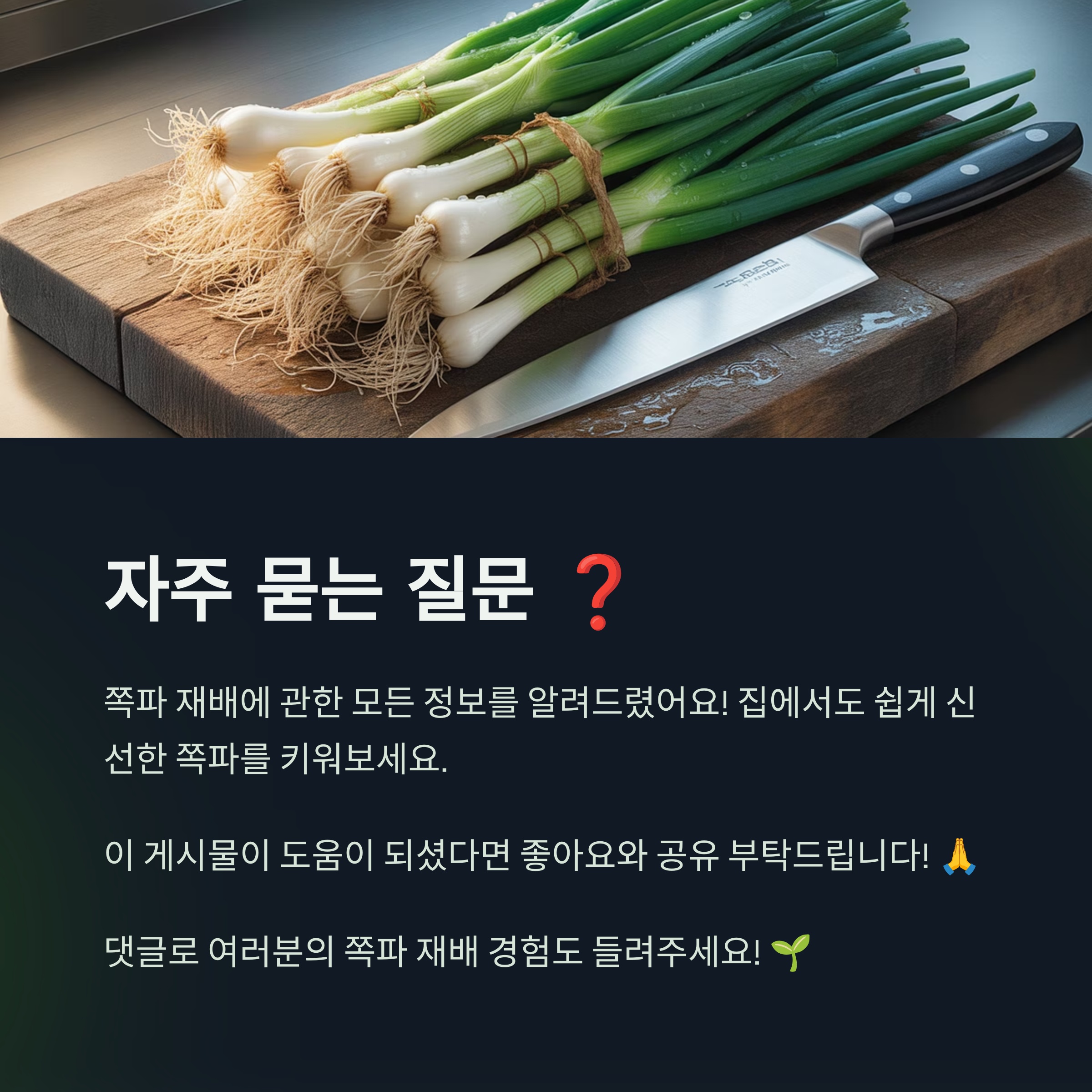 자주 묻는 질문 ❓