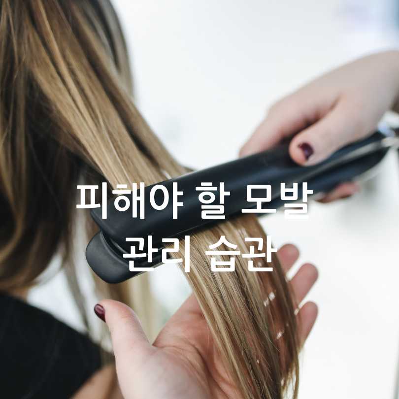 머리카락 굵어지는 방법과 가늘어지는 이유