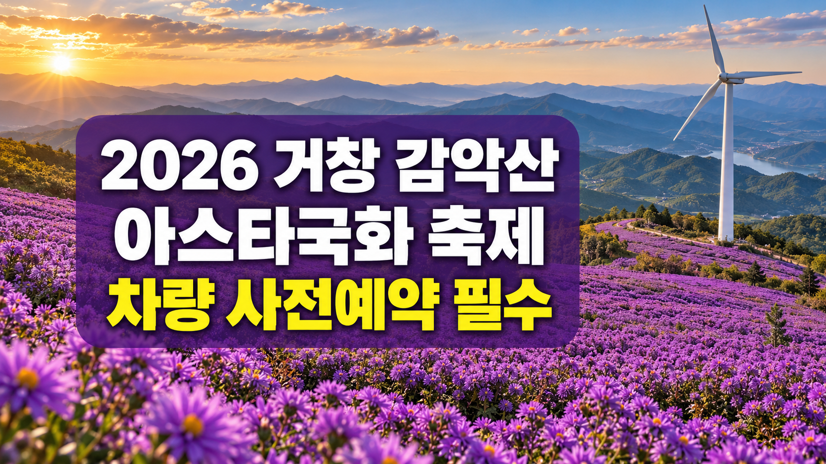 2026 거창 감악산 아스타국화 축제｜차량 사전예약 필수&middot;일정&middot;주차 총정리