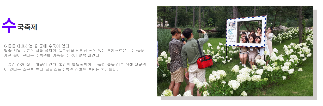 전국 수국축제 추천, 해남 수국 축제