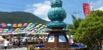 강진 수국길축제 일정 초대가수 강진 여행 2025 완벽 가이드_11