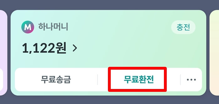 하나머니-환전