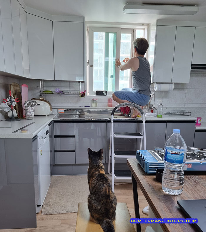 이사 유리창 청소