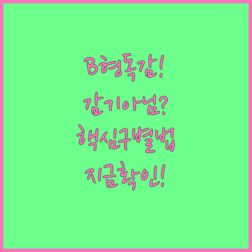 B형 독감 증상 특징과 감기 구별법 ..