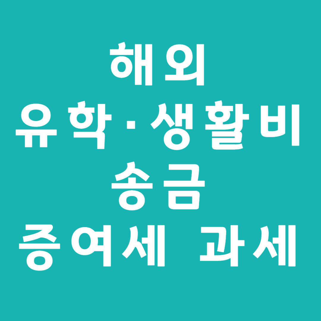 해외 유학·생활비 송금, 증여세 과세될까?