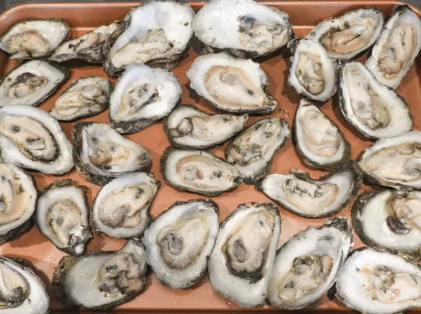 생굴을 안전하게 먹는방법은 없습니다.