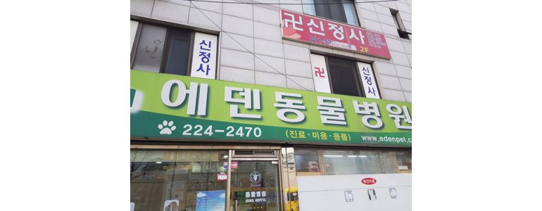 수원 팔달구 동물병원
