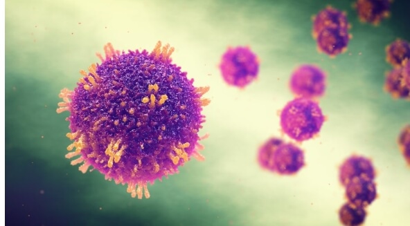 홍역예방접종 성인 홍역 예방접종