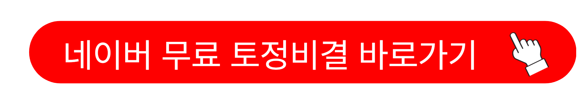 2025년 무료 토정비결