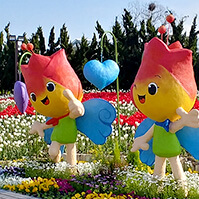 튤립축제