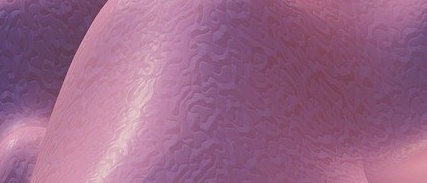 2025 노인 장기요양등급 신청