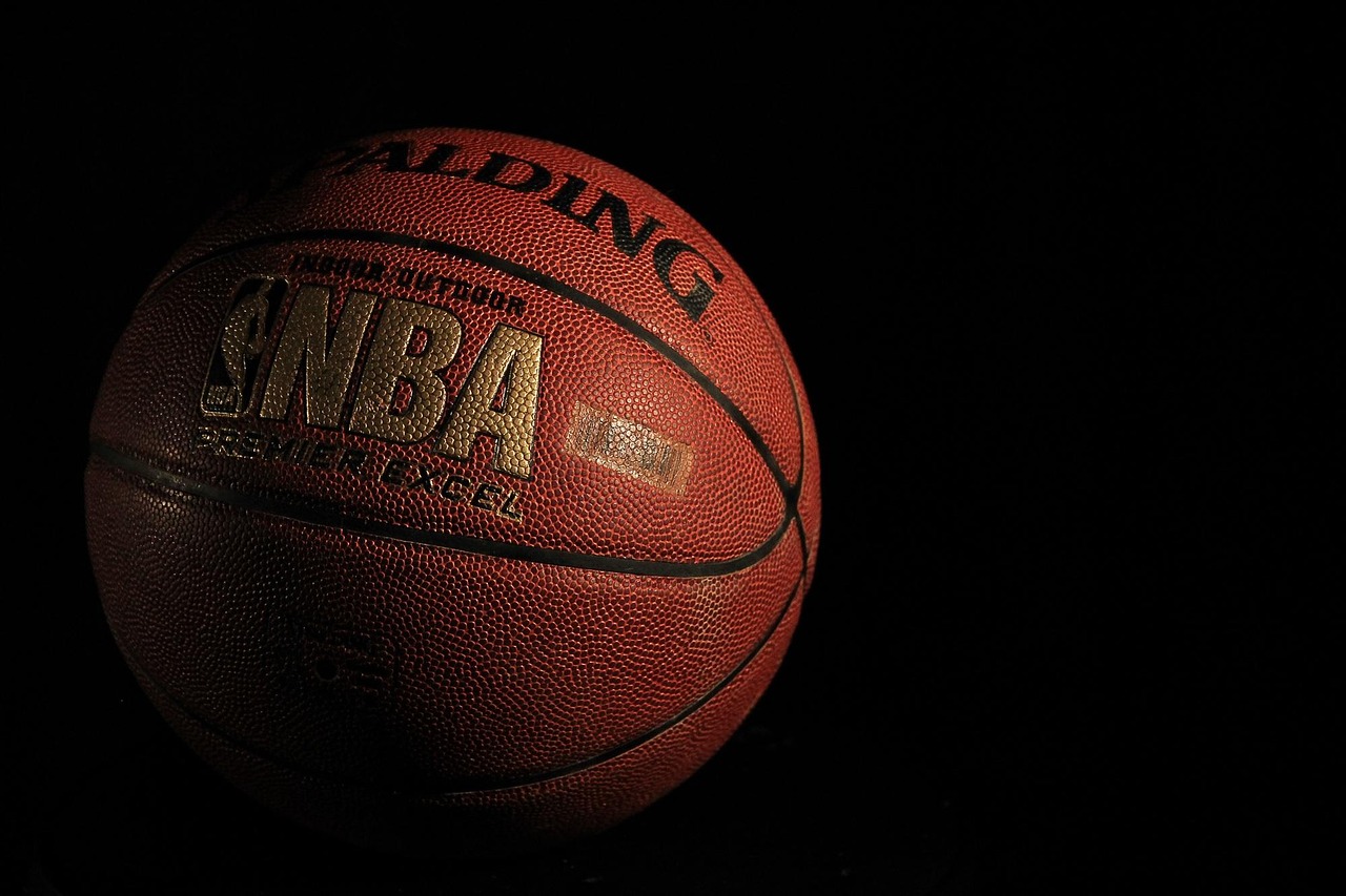 NBA농구공 사진