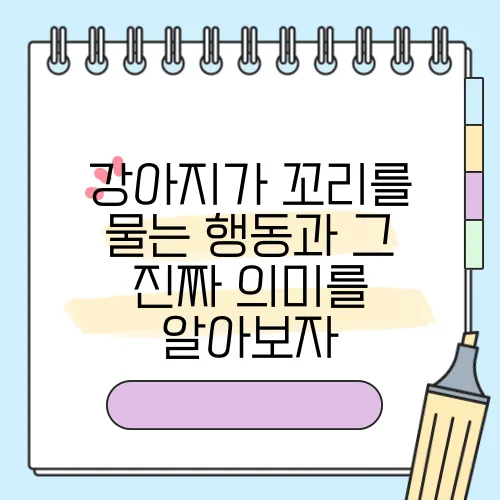 강아지가 꼬리를 물는 행동과 그 진짜 의미를 알아보자