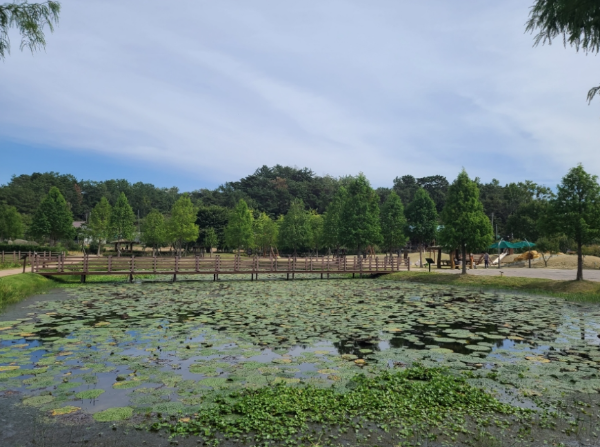 5월 추천 여행지