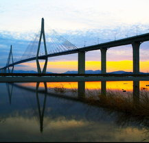 목포 유달산 개나리 축제 주차 맛집 꿀팁정리